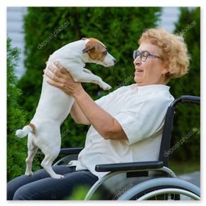 Therapiehund wird von Bewohnerin gestreichelt